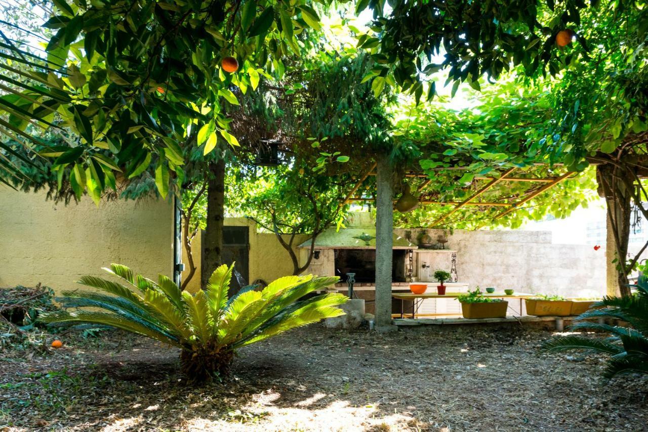 شقة Oasis Of Peace دوبروفينك المظهر الخارجي الصورة